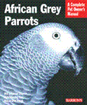 African20grey20parrots_large_1045