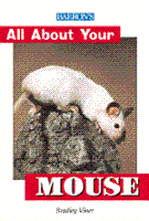 All_20about_20your_20mouse_large_1773
