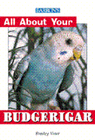All_20about_20your_20budgerigar_large_1046