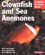 Clownfish_and_sea_anemones_2572