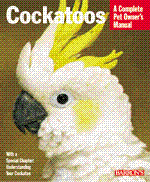 Cockatoos_2562