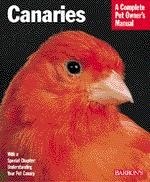 Canaries_2583