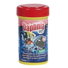 Daphnia_natural_food_2031
