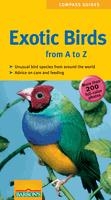 Exotic_birds_from_a_to_z_2620