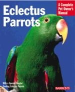 Electus_parrots_2589