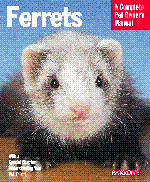 Ferrets2_1793