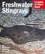 Freshwater_stingray_2574