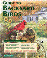 Guide_20to_20backyard_20birds2_1077