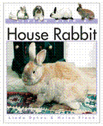 House_rabbit_1808