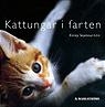 Kattungar_i_farten_1257