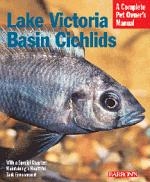 Lake_victoria_basin_chichlids_2584