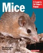 Mice_2585