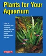 Plants_for_your_aquarium_2591