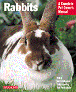 Rabbits2_1780