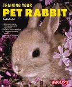 Training_your_pet_rabbit_2592