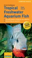 Tropical_freshwater_aquarium_fish_2610