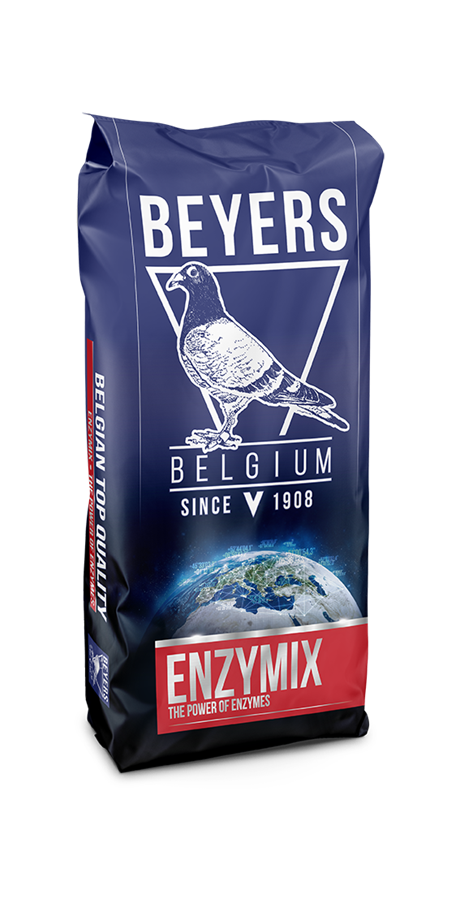 Beyers Elite Enzymix 7/33 Super Depurativ