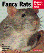 Fancy_rat_1811