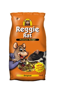Reggie_rat_2128