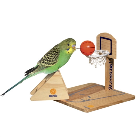 Basketboll till fåglar