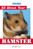 ALLABOUTYOURHAMSTER
