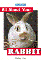 ALL%20ABOUT%20YOUR%20RABBIT_Large