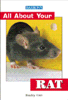 ALL%20ABOUT%20YOUR%20RAT_large