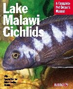 LAKE MALAWI CICHLIDS